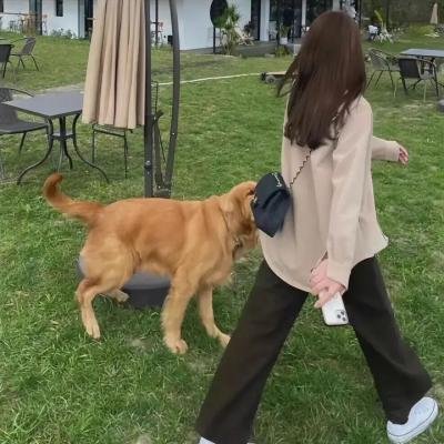 魇会海报